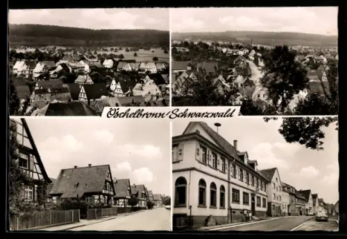 AK Öschelbronn /Schwarzwald, Ortsansichten, Fachwerkhäuser, Strassenansicht