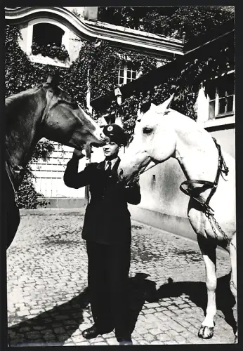 6 Fotografien H. Förster-Heintzel, Frankfurt /Main, Rat Beil-Strasse 15, Polizisten füttern Pferde, Polizei