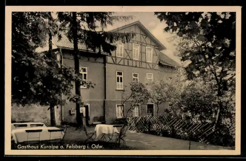 AK Felsberg im Odenwald, Gasthaus Kuralpe, Bes. Karl Bormuth