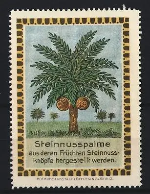 Reklamemarke Steinnusspalme, aus deren Früchten Steinnuss-Knöpfe hergestellt werden