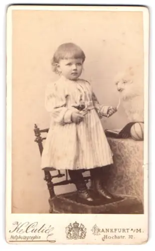 Fotografie Katharina Culié, Frankfurt am Main, Hochstrasse 32, Kind mit Schaf auf einem Stuhl
