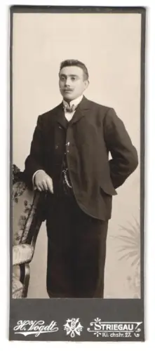 Fotografie H. Vogdt, Striegau, Kirchstr. 27, Eleganter junger Mann