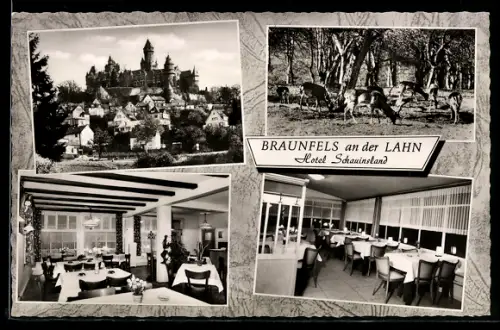 AK Braunfels an der Lahn, Hotel Schauinsland, Innenansichten