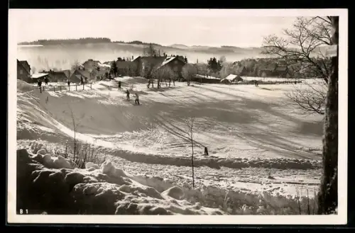 AK St. Andreasberg /Oberharz, Idiotenwiese mit Skifahrern im Winter