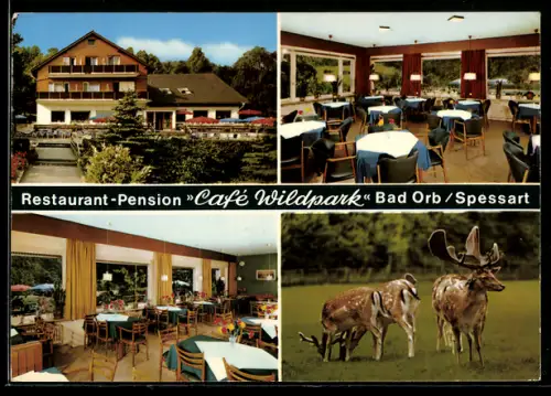 AK Bad Orb /Spessart, Restaurant Café Wildpark, Bes. Familie Ludwig Heimrich, Aussenansicht und Gästebereich, Wild