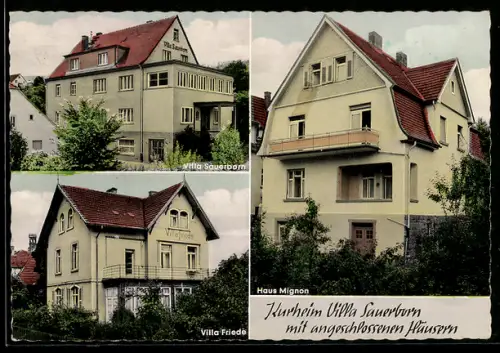 AK Bad Orb, Kurheim Villa Sauerborn, Haus Mignon & Villa Frieda