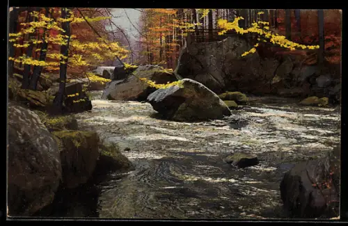 AK Photochromie NR 3999: Bach in einem Wald