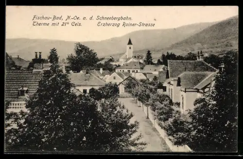 AK Fischau a. St., Blick über die Dächer mit Kirche