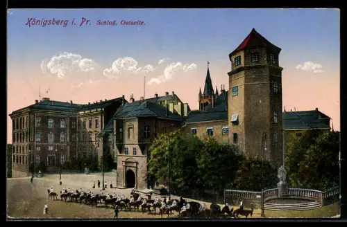 AK Königsberg i. Pr., Schloss, Ostseite