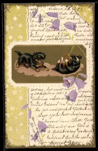 AK Zwei niedliche Hundewelpen spielen auf einem Teppich, Passepartout mit Glockenblumen