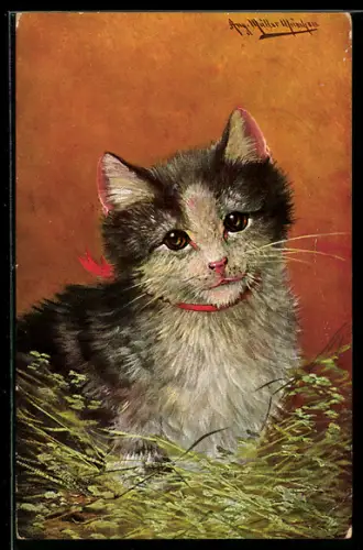 Künstler-AK August Müller - München: Kleine Katze mit Halsband im Gras