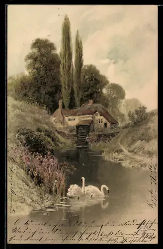 Künstler-AK Meissner & Buch (M&B) Nr. 1189: Am Weiher, Schwäne auf dem See in Ufernähe unweit eines Hauses