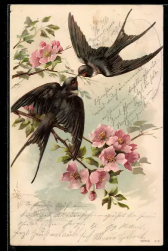Lithographie Schnäbelnde Schwalben am Rosenbusch