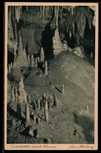 AK Teufelshöhle /fränk. Schweiz, Die Neue Abteilung