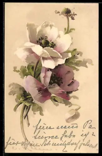 Künstler-AK Catharina Klein: Weisser Mohn
