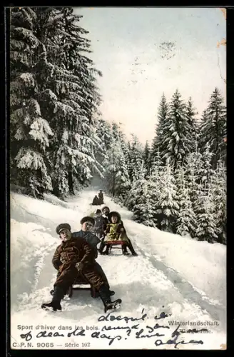 AK Wintersport, Sport d`hiver dans les bois, Winterlandschaft, Waldstudie, Schlittenfahrer im Wald
