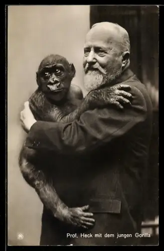 AK Professor Heck mit jungem Gorilla auf dem Arm
