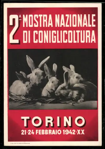 AK Torino, 2a Mostra Nazionale Di Coniglicoltura 1942