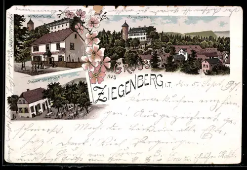 Lithographie Ziegenberg, Wirtschaft zur Linde, Saal & Gartenwirtschaft, Schloss Ziegenberg