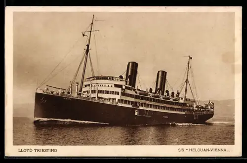 AK Italienisches Passagierschiff Vienna vom Lloyd Triestino vor der Küste