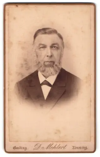 Fotografie D. Mehlert, Tönning, Porträt des Herrn Johann Raabe