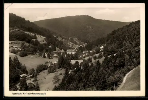 AK Nordrach-Kolonie /Schwarzwald, Talansicht mit Gebäuden und umgebenden Wäldern