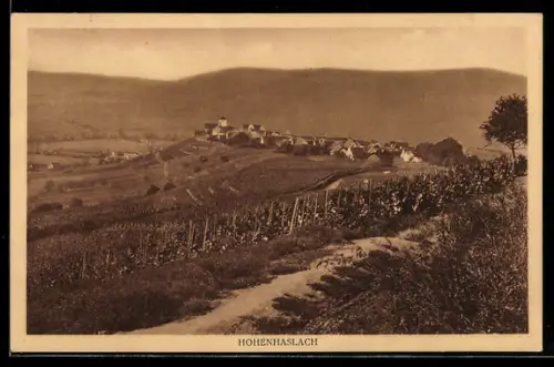 AK Hohenhaslach, Weinberge und Ortsansicht