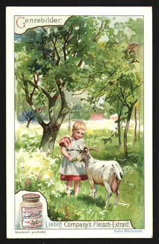 6 Sammelbilder Liebig, Serie Nr. 613: Genrebilder, Kinder am Bach, im Wald, mit Gänsen und Ziegen