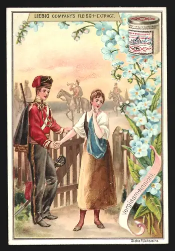 6 Sammelbilder Liebig, Serie Nr. 563: Blumensprache IV., Stiefmütterchen, Herzblatt, Wegwart, Rührmichnichtan