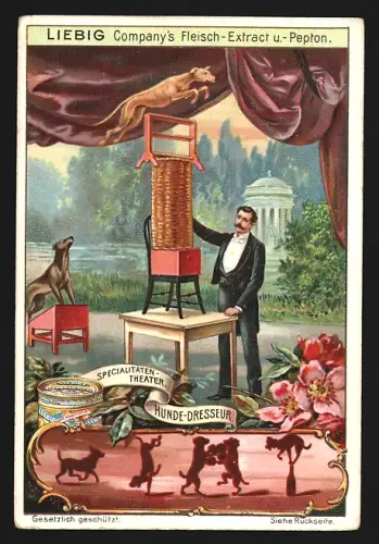 6 Sammelbilder Liebig, Serie Nr. 577: Specialitätentheater, Kunstschütze, Gymnastiker, Stierbändiger, Hunde-Dressur