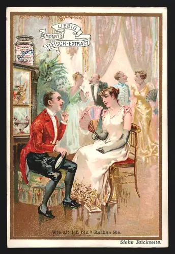 6 Sammelbilder Liebig, Serie Nr. 381: Vexierbilder XII., Versteckte Diebe, Schweine, Polizisten, Cognac und Papagei