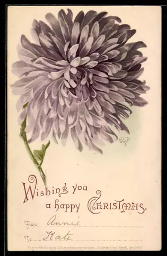 AK Violette Blume in voller Blüte, Weihnachtsgruss