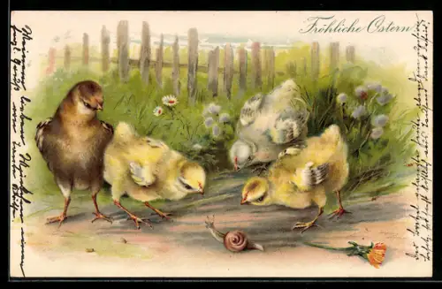 Lithographie Osterküken betrachten eine Schnecke interessiert