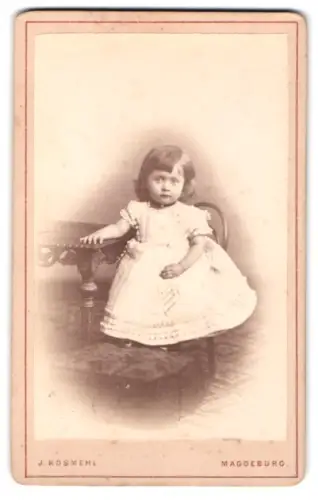 Fotografie J. Kosmehl, Magdeburg, Stephansbrücke 36, Porträt eines kleinen Kindes