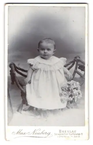 Fotografie Max Neuberg, Breslau, Schweidnitzer Stadtgraben 9, Porträt eines Kleinkinds