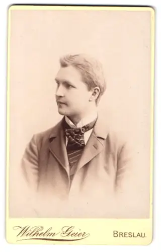 Fotografie Wilhelm Geier, Breslau, Schweidnitzerstrasse 16/18, Porträt eines jungen Mannes