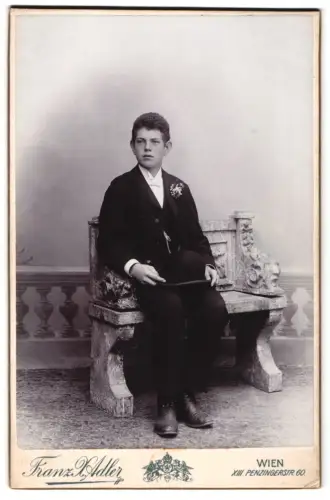 Fotografie Franz Adler, Wien, Penzingerstrasse 60, Junge auf kunstvoller Bank