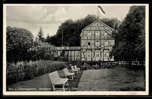 AK Michelstadt i. Odw., Kur- und Erholungsheim Waldhorn