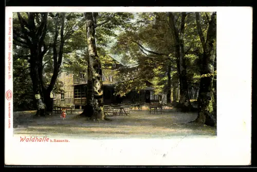 AK Sassnitz, Gasthaus Waldhalle