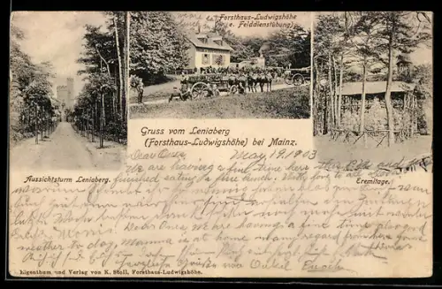 AK Mainz, Gasthof Forsthaus Ludwigshöhe am Leniaberg, Eremitage, Aussichtsturm