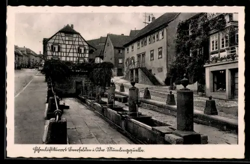 AK Beerfelden i. Odw., Mümlingquelle