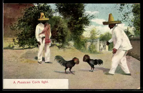 AK A Mexican Cock fight, Hahnenkampf