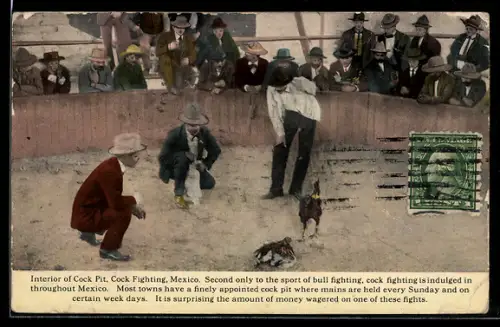AK Mexico, Interior of Cock Pit, Cock Fighting, Hahnenkampf