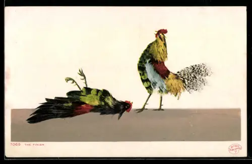 AK Cock fight, the finish, Hahnenkampf