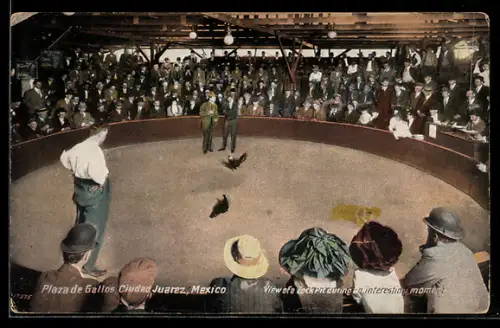 AK Ciudad Juarez, Plaza de Gallos, View of Cock Pit during an interesting moment, Cock fight, Hahnenkampf