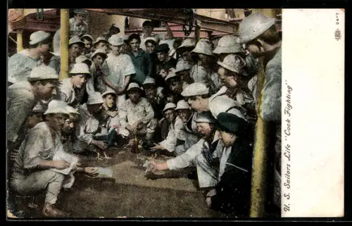 AK Sailors during a cock fight, Hahnenkampf