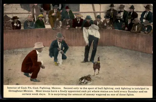 AK Mexico, Interior of a Cock Fighting Pit, Hahnenkampf
