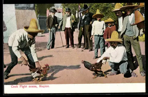 AK Mexico, Cock Fight scene, Hahnenkampf