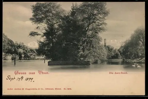 AK Thun, Aare-Insel