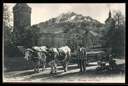 AK Luzern, Bauer mit Rinderwagen, Musegg und Pilatus